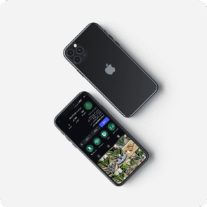 Free_iPhone_11_Pro_Mockup_52 1